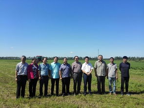 動(dòng)物營養(yǎng)與飼料科學(xué)系黨支部開展 兩學(xué)一做 主題實(shí)踐活動(dòng)