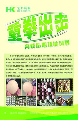 12%超濃縮,產蛋雞功能飼料