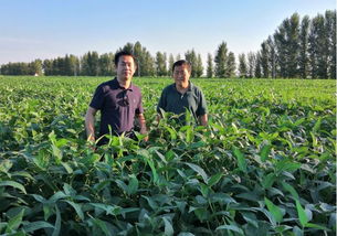 首農集團京蒙扶貧協(xié)作出實招