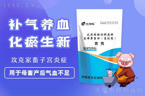 母豬產(chǎn)后氣血不足怎么辦 來(lái)河南億佰科找宮克