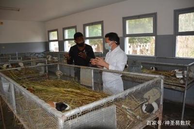 以工代訓--中國農(nóng)業(yè)援非專家在莫桑比克的培訓模式