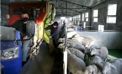 在脫貧大考中交出一份合格答卷——來自新疆和田地區脫貧攻堅一線的戰報