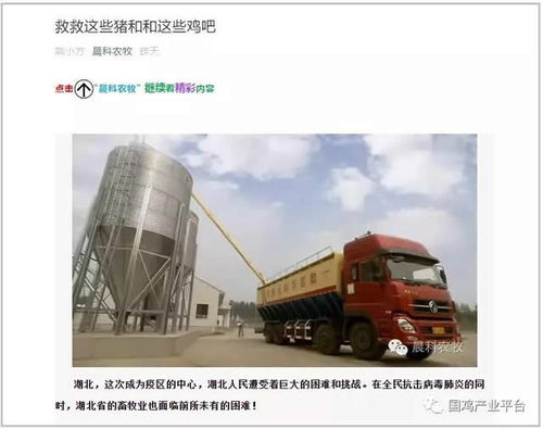 飼料告急！湖北龍頭養雞企業僅剩3天庫存，畜牧業協會緊急呼吁救急