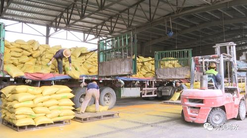 浠水海大飼料 以產(chǎn)品為舵，服務(wù)為帆，護(hù)航養(yǎng)殖業(yè)發(fā)展