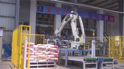 年產(chǎn)值10億元！湖北丹富仕飼料項目建成投產(chǎn)，為畜牧養(yǎng)殖注入強(qiáng)勁動力